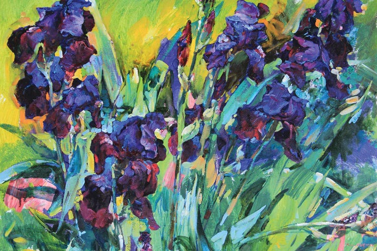 Irises