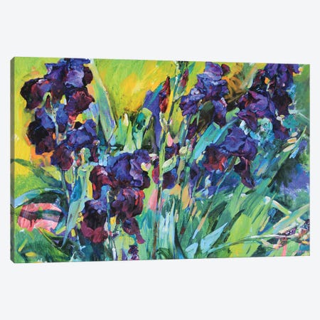 Irises Canvas Print #AIK82} by Andrii Kutsachenko Canvas Art