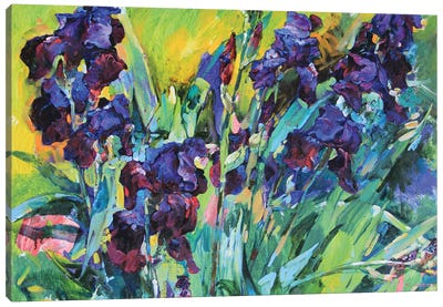 Irises Canvas Art Print - Andrii Kutsachenko