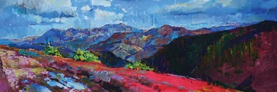 Carpathian Mountains by Andrii Kutsachenko framed canvas print