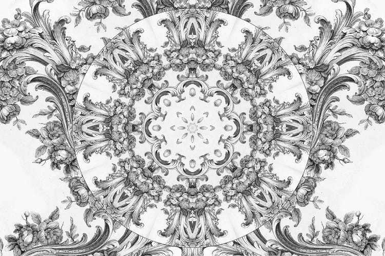 Ornate Musings I by Aimee Stewart wall art