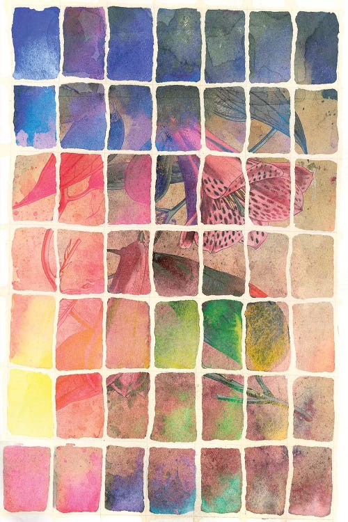 Rainbow by Aimee Stewart wall art