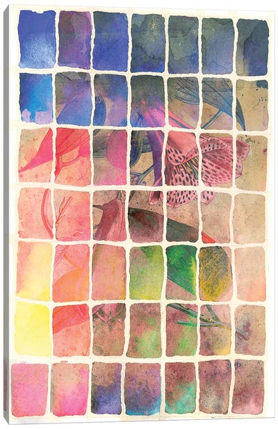 Rainbow Canvas Art Print - Aimee Stewart