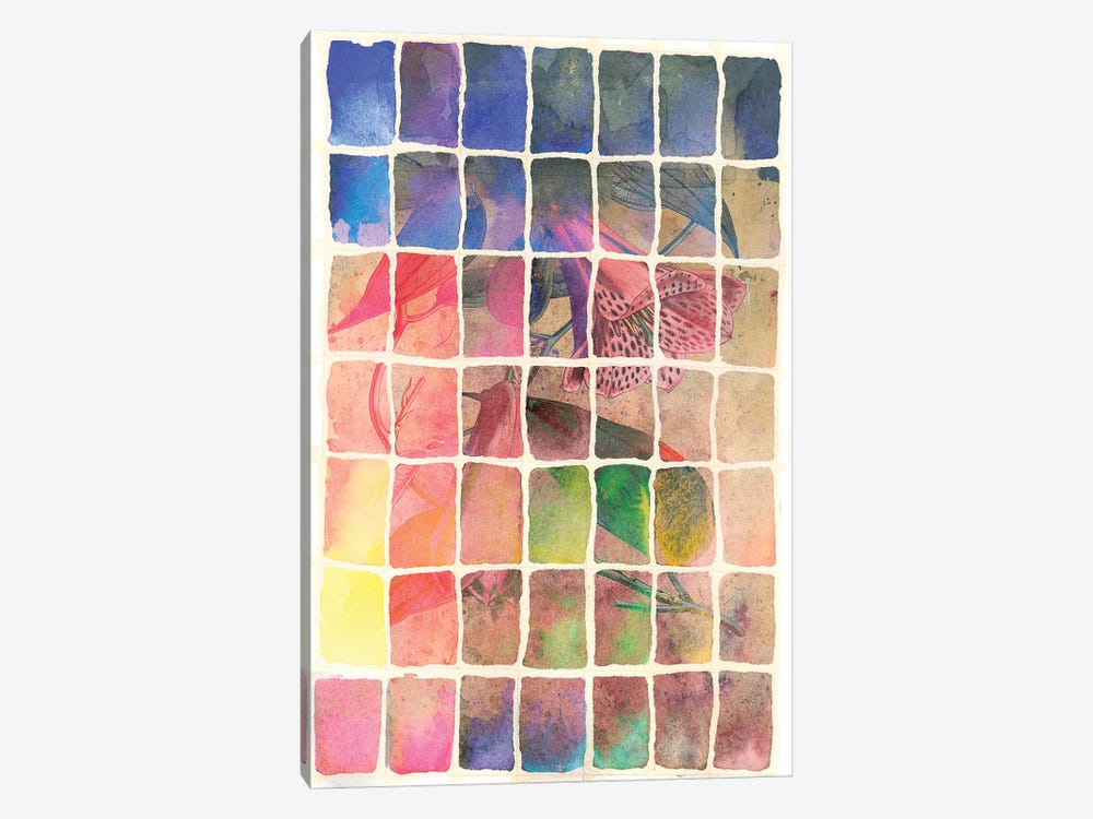 Rainbow by Aimee Stewart 1-piece Canvas Art Print