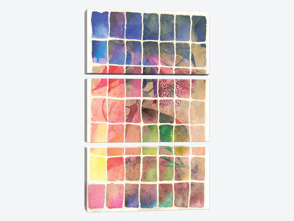 Rainbow by Aimee Stewart 3-piece Canvas Print