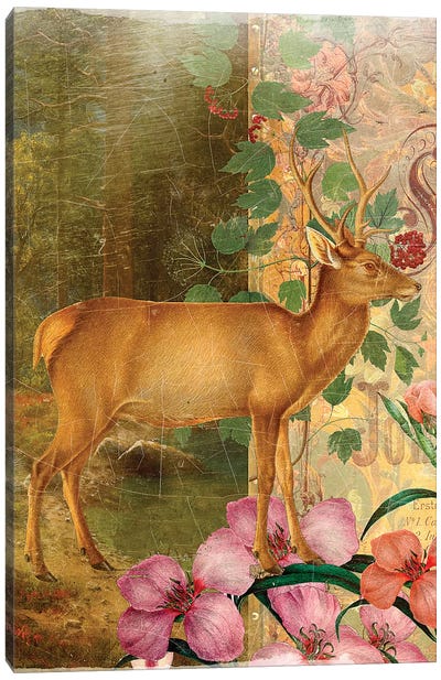 Deer Canvas Art Print