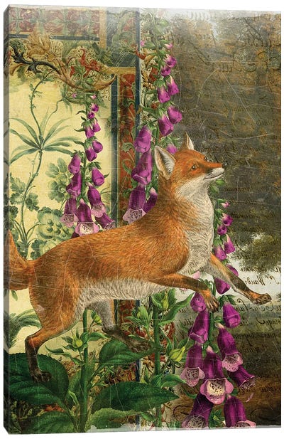 Fox Canvas Art Print - Aimee Stewart