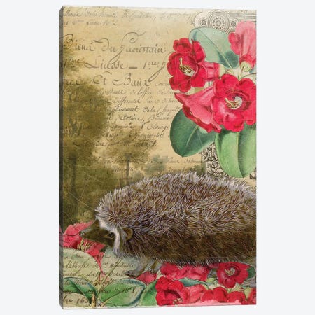 Hedgehog Canvas Print #AIM37} by Aimee Stewart Canvas Wall Art