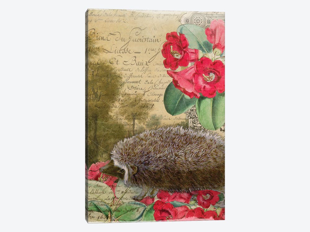 Hedgehog by Aimee Stewart 1-piece Canvas Artwork