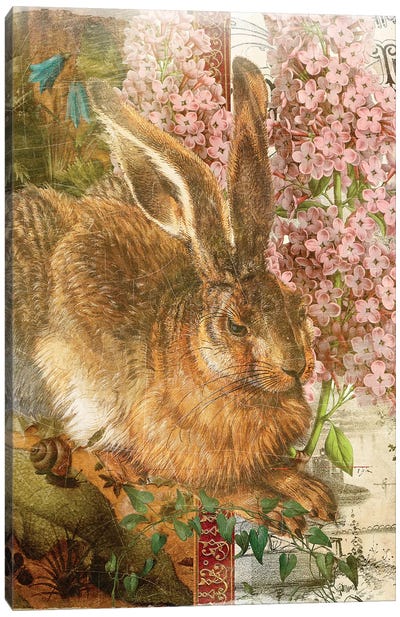 Rabbit Canvas Art Print - Aimee Stewart
