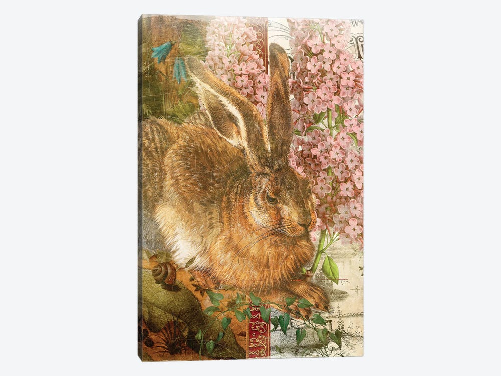 Rabbit by Aimee Stewart 1-piece Art Print
