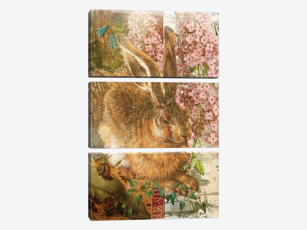 Rabbit by Aimee Stewart 3-piece Canvas Print