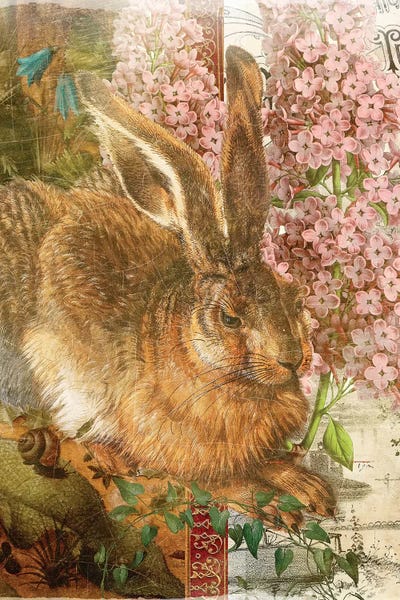 Aimee Stewart: Rabbit by Aimee Stewart