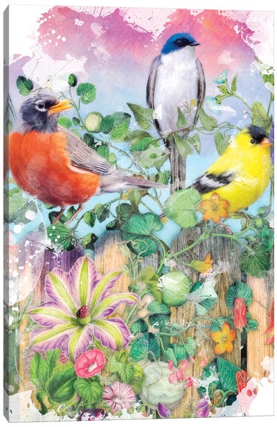 Birds And Blooms Garden II Canvas Art Print - Aimee Stewart
