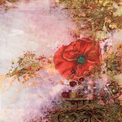 Poppy Dreams by Aimee Stewart multi panel art