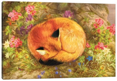 The Cozy Fox Canvas Art Print - Granny Chic