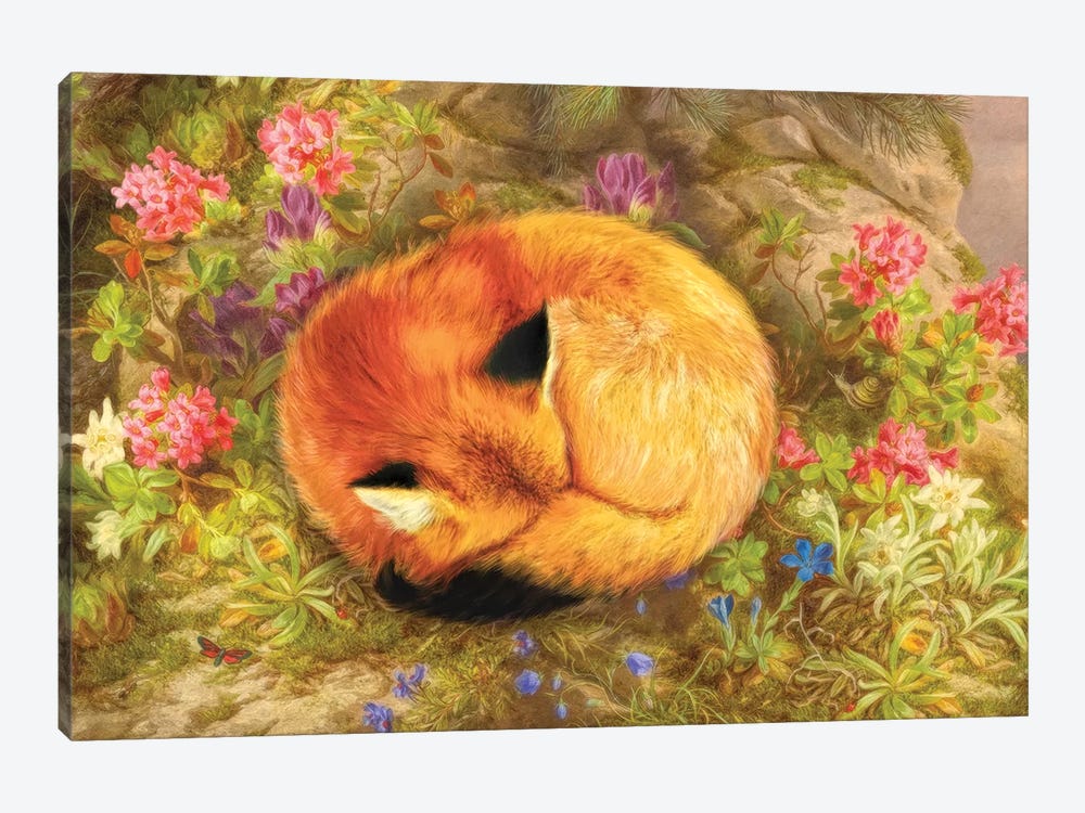 The Cozy Fox by Aimee Stewart 1-piece Canvas Artwork
