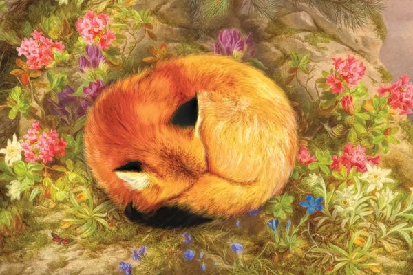 Granny Chic: The Cozy Fox by Aimee Stewart