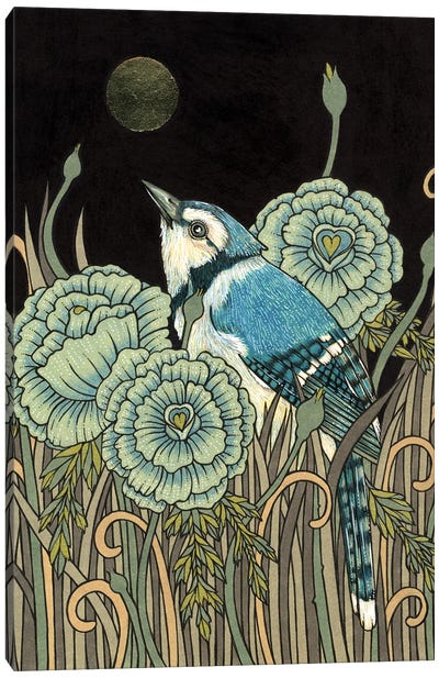 Blue Jay Canvas Art Print - Anita Inverarity