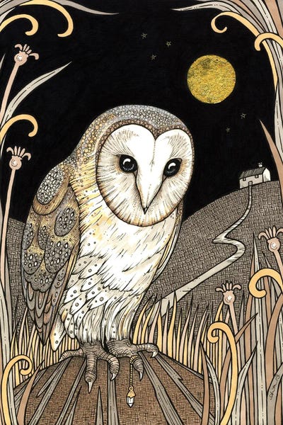 A Wise One Waits by Anita Inverarity canvas print