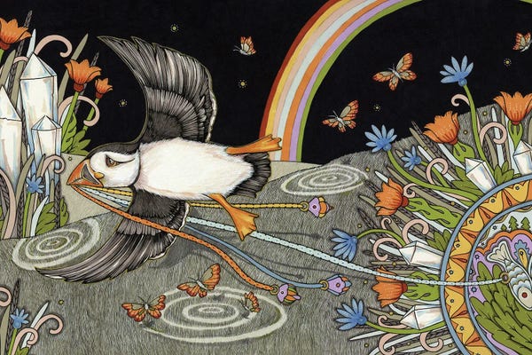 Puffins: Emergence by Anita Inverarity