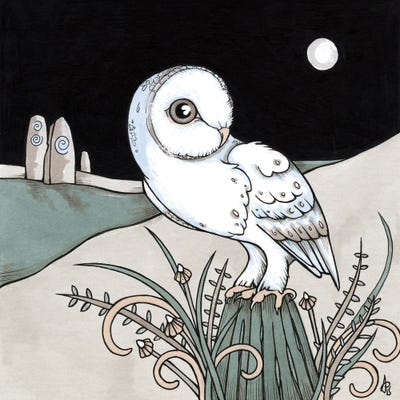 Ghost by Anita Inverarity canvas print