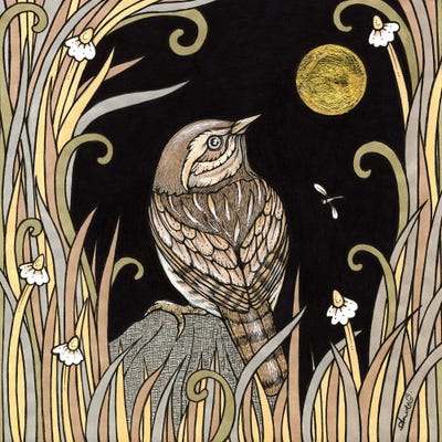 Hiding Wren by Anita Inverarity canvas print