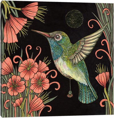 Jewel Canvas Art Print - Hummingbird Art
