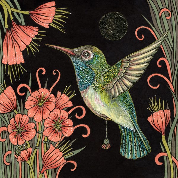 Animal Lover: Jewel by Anita Inverarity