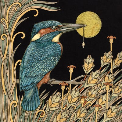 Kingfisher by Anita Inverarity framed canvas print