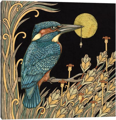 Kingfisher Canvas Art Print - Anita Inverarity