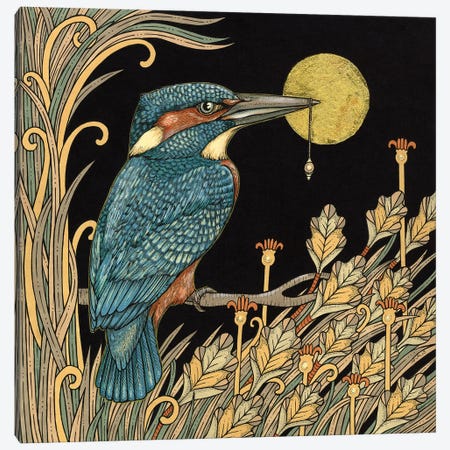 Kingfisher Canvas Print #AIV42} by Anita Inverarity Canvas Art Print