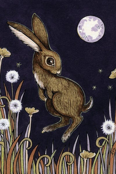 Lewis by Anita Inverarity art print