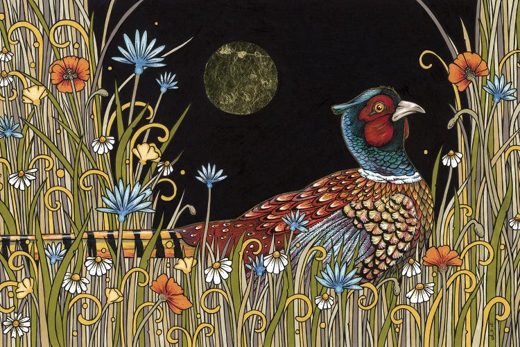 Midnight Meadow