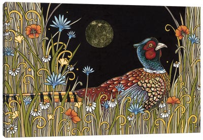 Midnight Meadow Canvas Art Print - Anita Inverarity