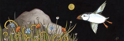 Night Flight by Anita Inverarity canvas print