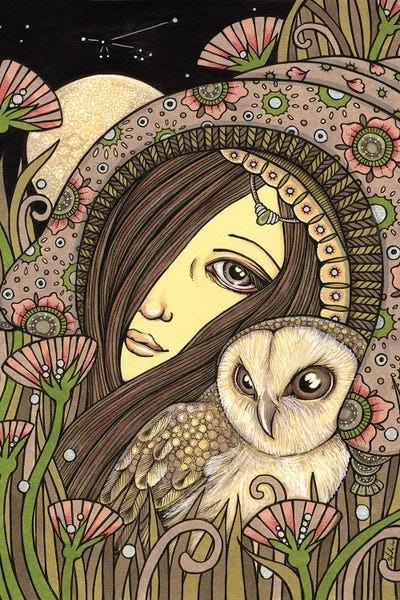Noctua by Anita Inverarity art print