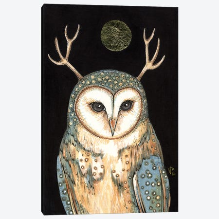 Owl Spirit Canvas Print #AIV59} by Anita Inverarity Canvas Art