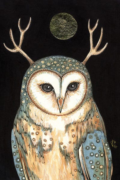 Natural Meets Mythical: Owl Spirit by Anita Inverarity