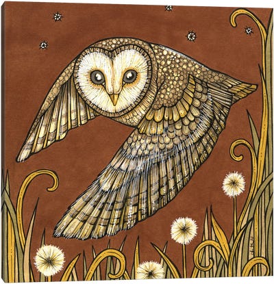 Silent Wings Canvas Art Print - Anita Inverarity