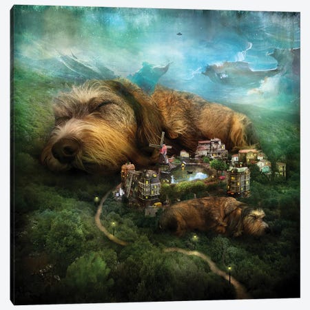 Sleeping Dogs Canvas Print #AJA29} by Alexander Jansson Canvas Art