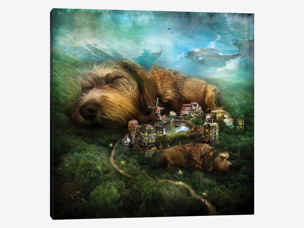 Sleeping Dogs by Alexander Jansson 1-piece Canvas Art Print