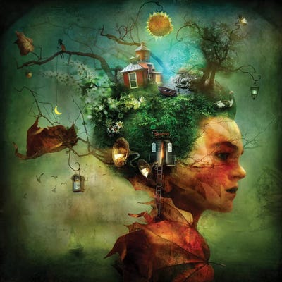 The Grove by Alexander Jansson canvas print