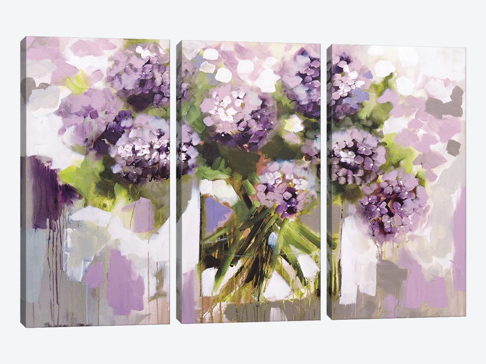 Blush Hydrangea by Amanda J. Brooks 3-piece Canvas Art Print
