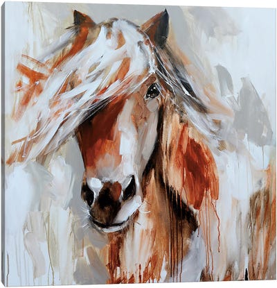 Soul Whisperer Canvas Art Print - Horse Art