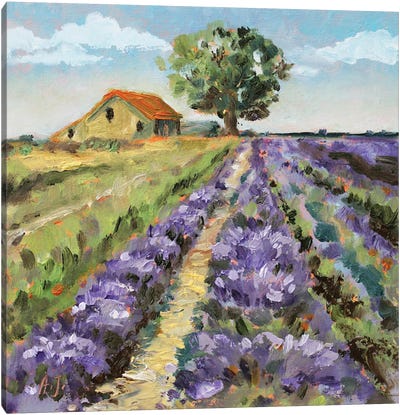 Italy Lavender Fields Canvas Art Print - Alexandra Jagoda