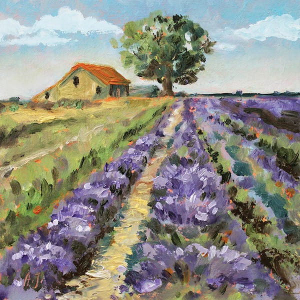 Alexandra Jagoda: Italy Lavender Fields by Alexandra Jagoda
