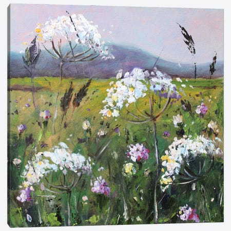 White Wildflowers Canvas Print #AJG113} by Alexandra Jagoda Canvas Art
