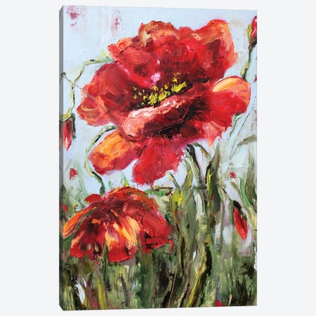 Poppies Canvas Print #AJG119} by Alexandra Jagoda Canvas Wall Art
