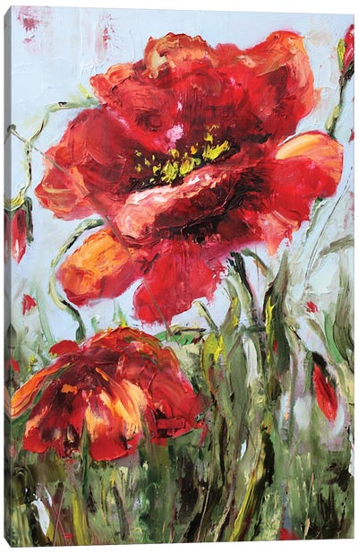 Poppies Canvas Art Print - Alexandra Jagoda